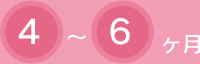4～6ヶ月