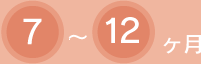 7～12ヶ月